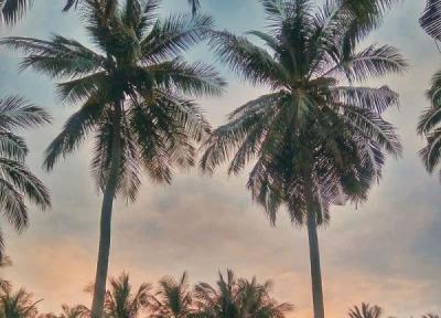 لومبوک، بهشت کوچک روی زمین لومبوک، بهشت کوچک روی زمین